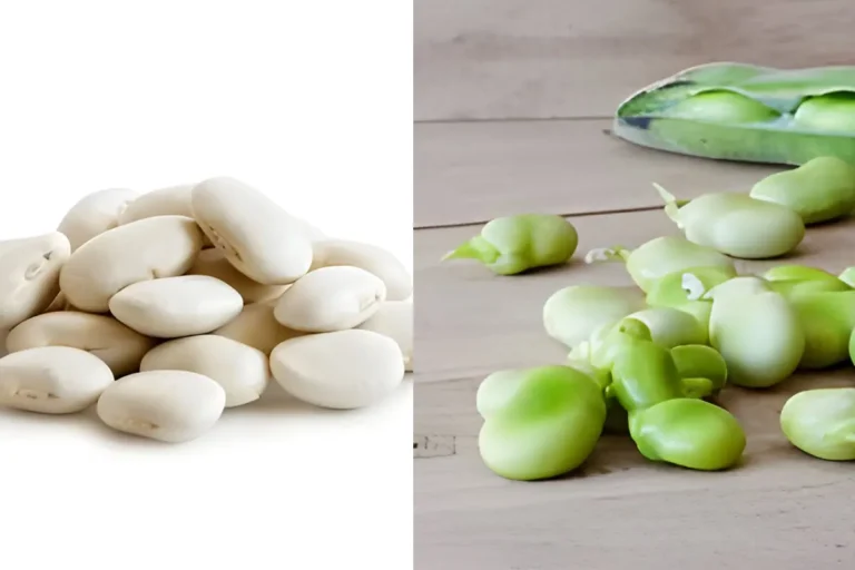 the difference between lima beans and butter beans