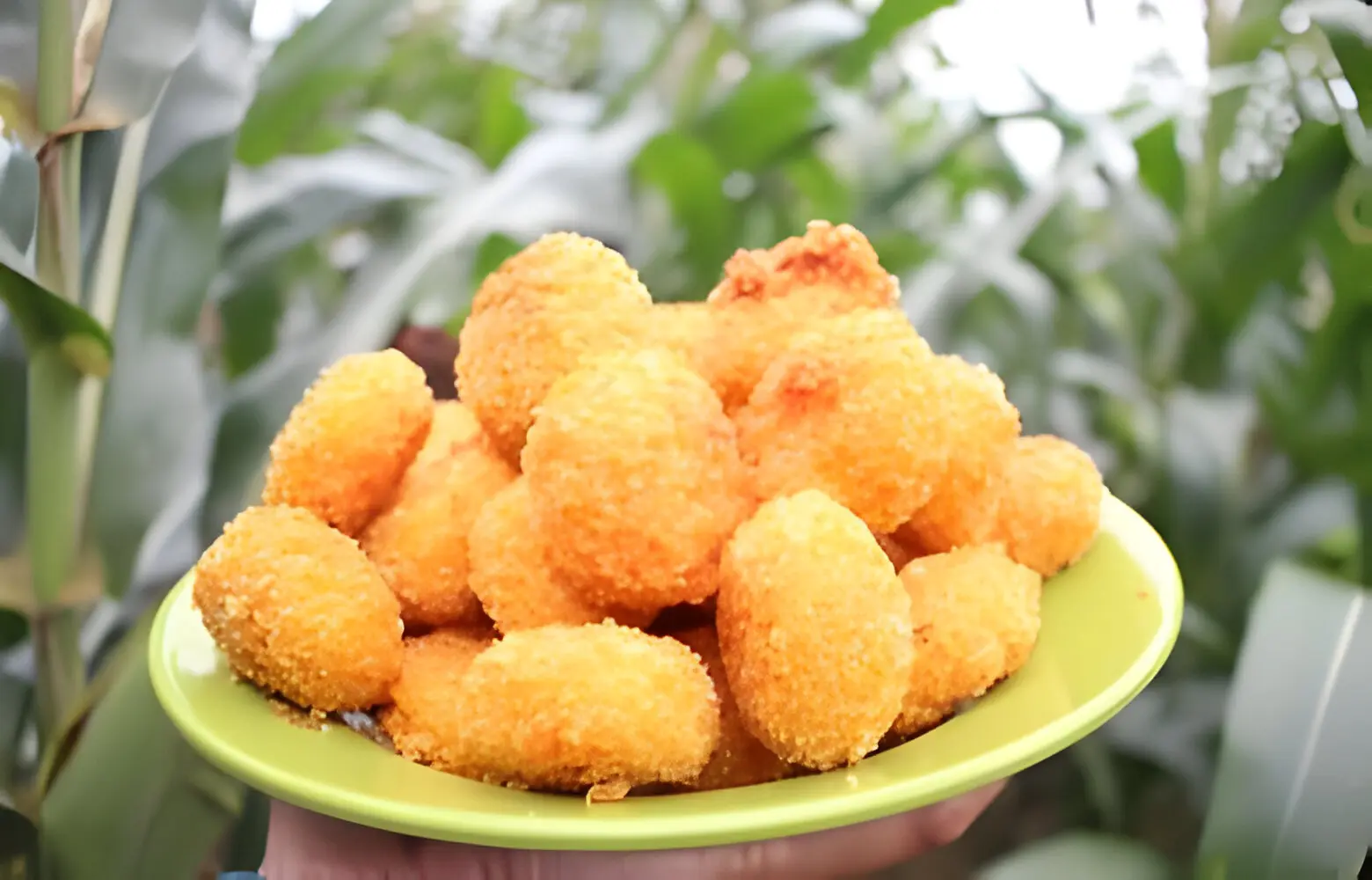 corn nuggets