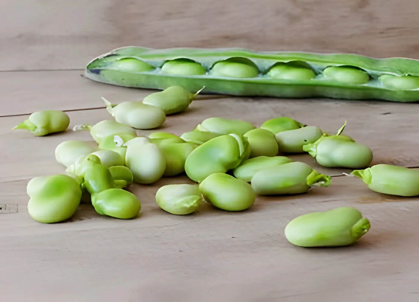 lima beans